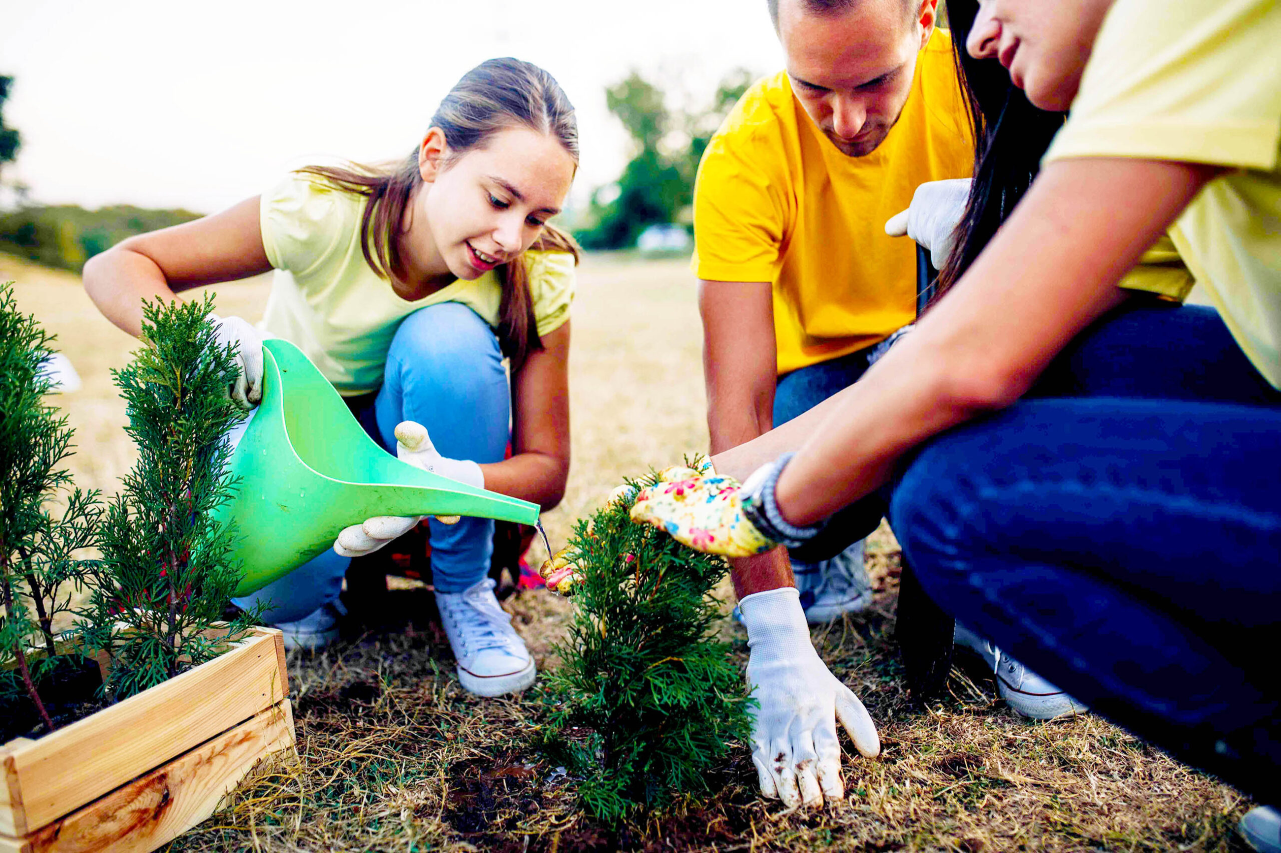 Day of Caring